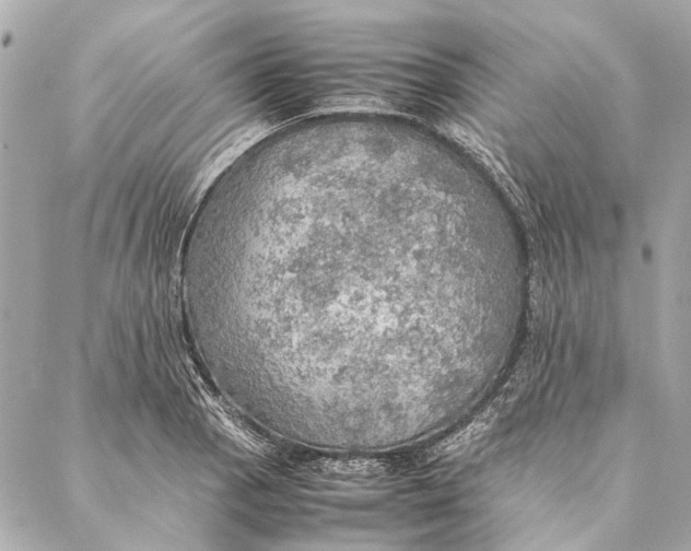 X0000086941129200705071411