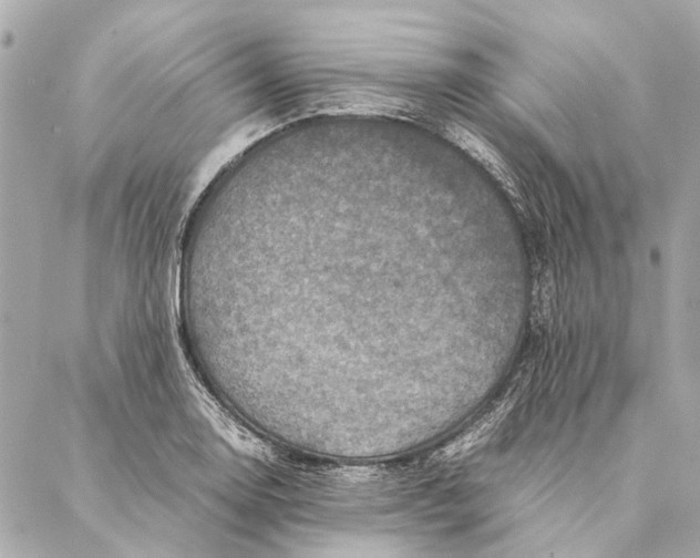 X0000086941130200705071411