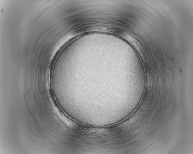 X0000086941131200705071411