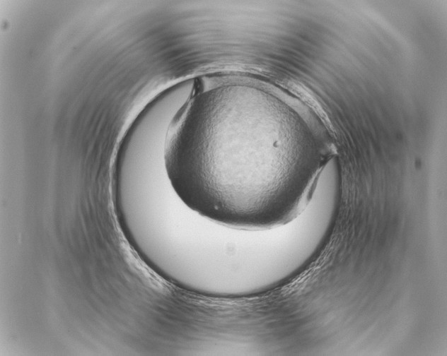 X0000086941132200705071411