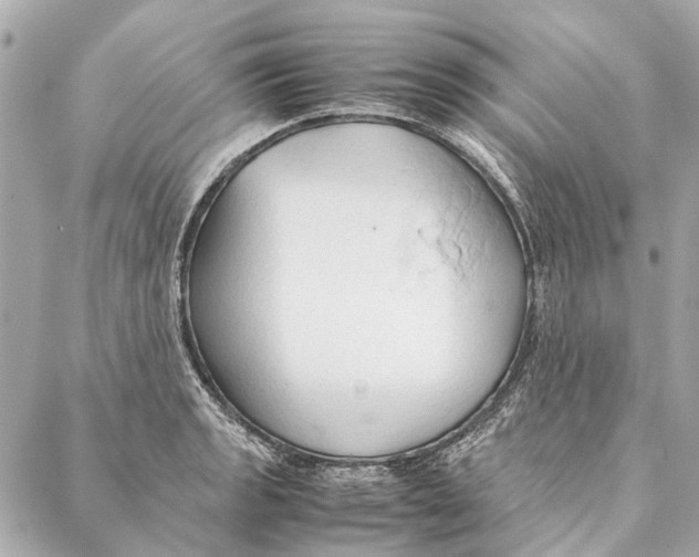 X0000086941133200705071411