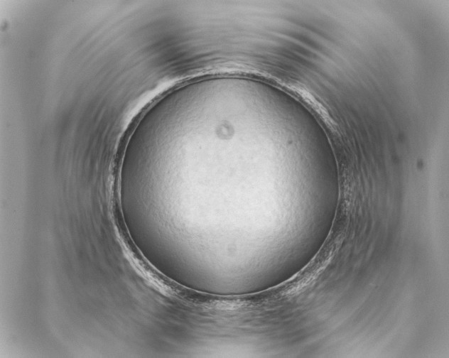 X0000086941134200705071411