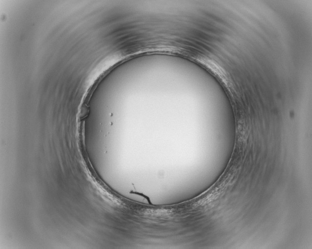 X0000086941135200705071411