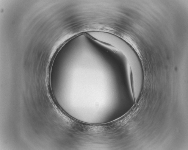 X0000086941136200705071411