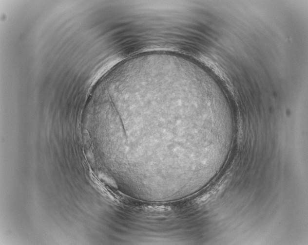 X0000086941137200705071411