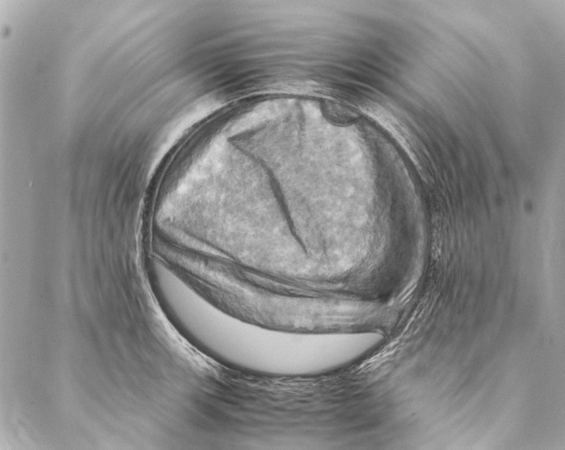 X0000086941139200705071411