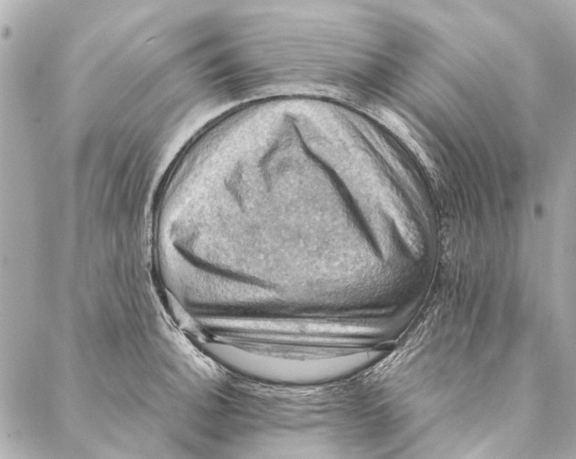 X0000086941140200705071411