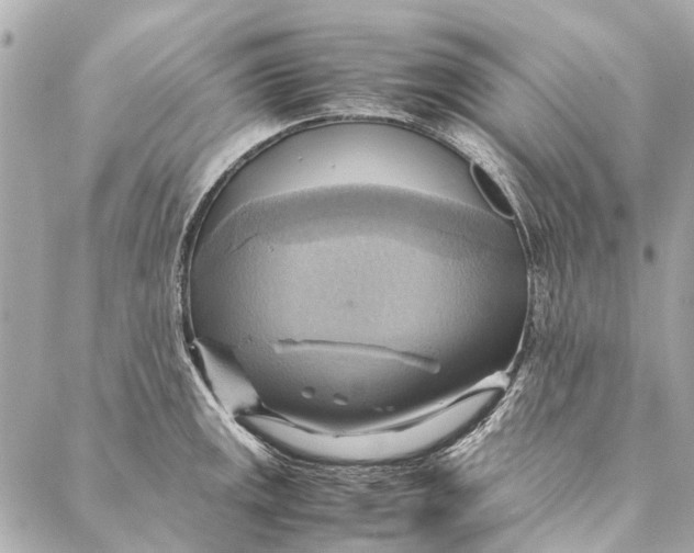 X0000086941141200705071411