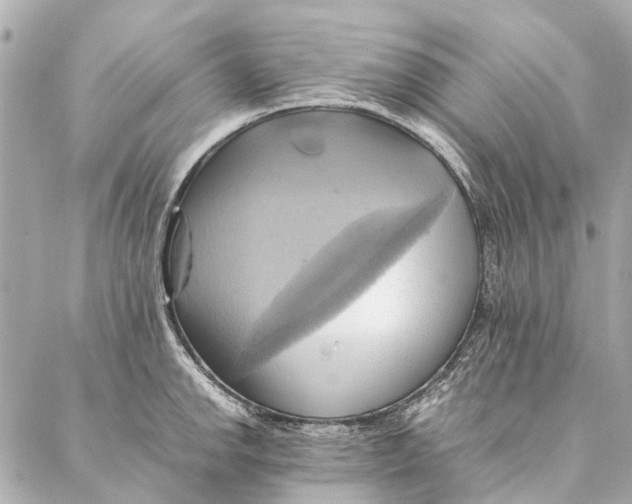 X0000086941142200705071411