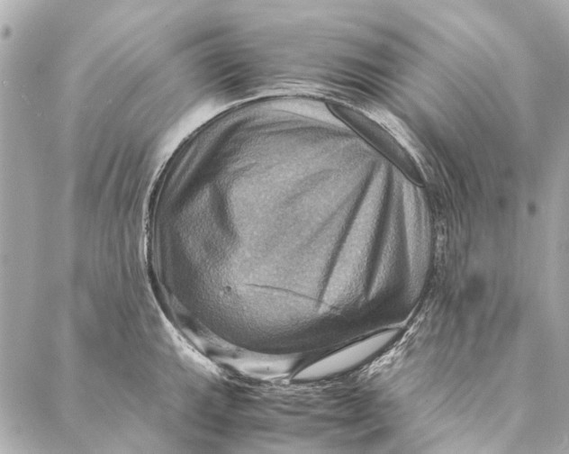 X0000086941143200705071411