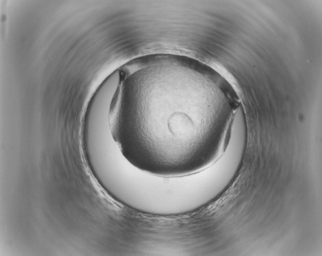 X0000086941144200705071411