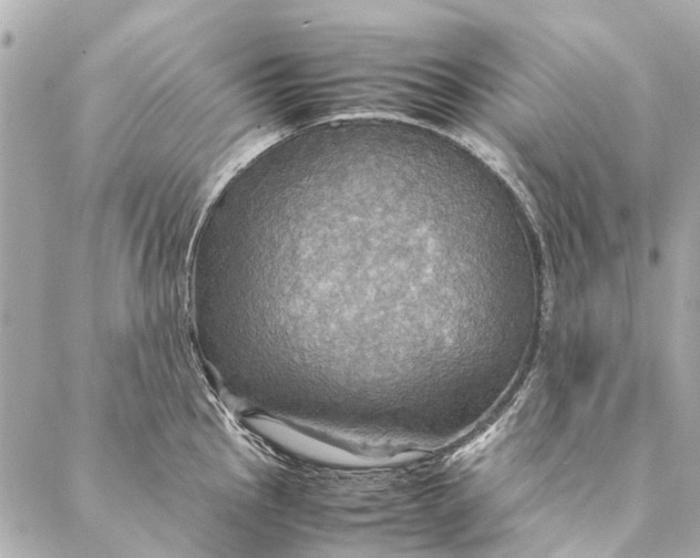 X0000086941145200705071411