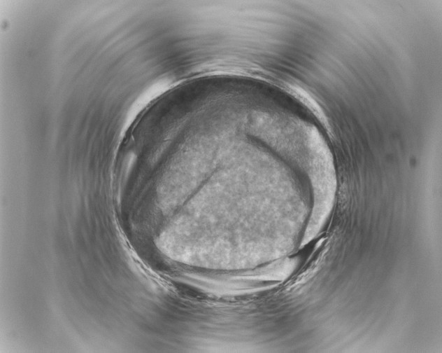 X0000086941146200705071412