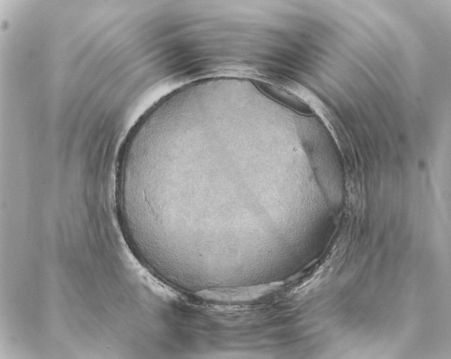 X0000086941147200705071412