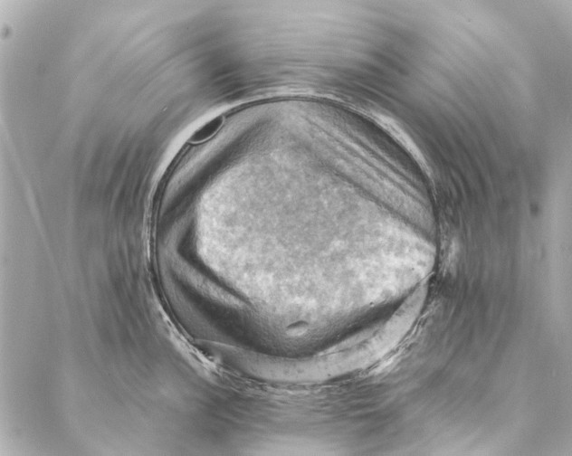 X0000086941148200705071412