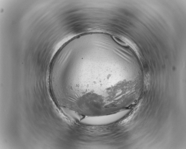 X0000086941149200705071412