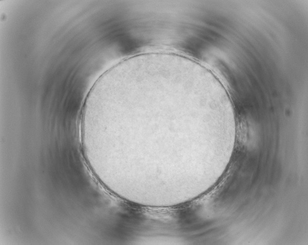 X0000086941150200705071412