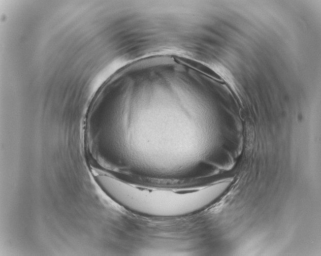 X0000086941151200705071412