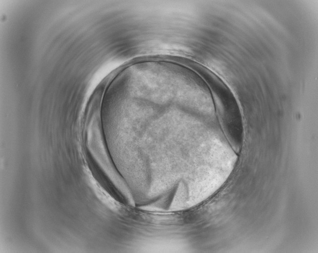 X0000086941152200705071412