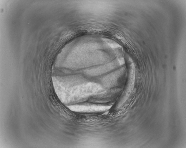 X0000086941153200705071411