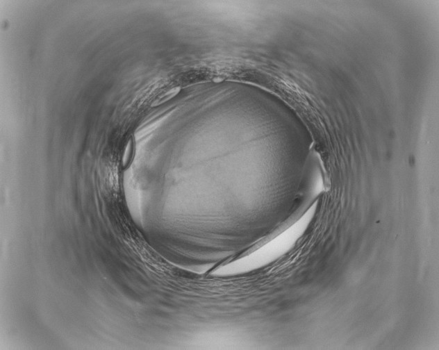 X0000086941155200705071411