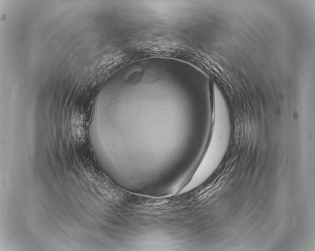 X0000086941156200705071411