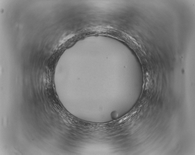 X0000086941158200705071411