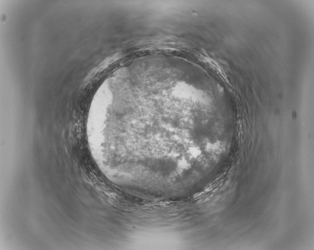 X0000086941159200705071411