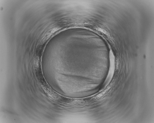 X0000086941161200705071411