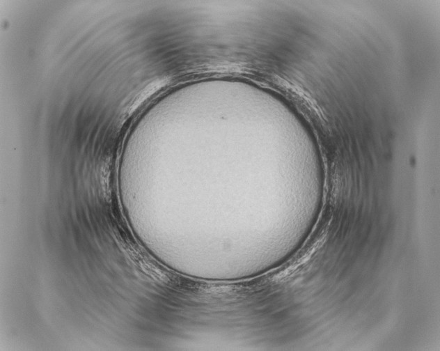 X0000086941162200705071411