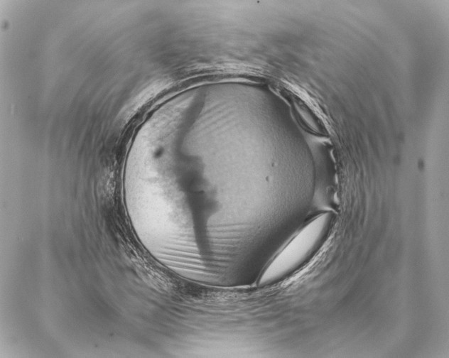 X0000086941163200705071411