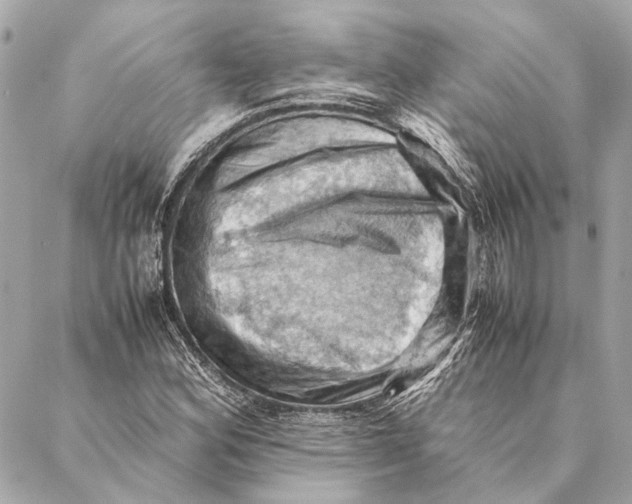 X0000086941164200705071411