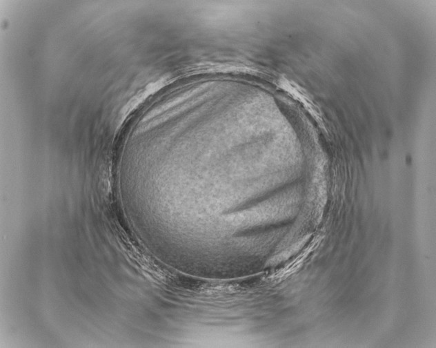 X0000086941165200705071411