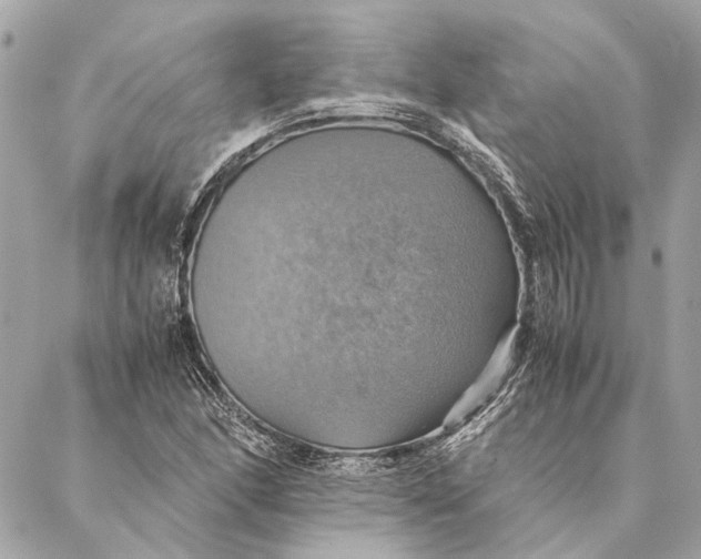 X0000086941166200705071411