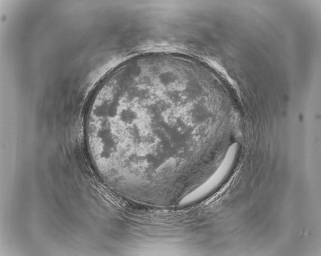 X0000086941167200705071411