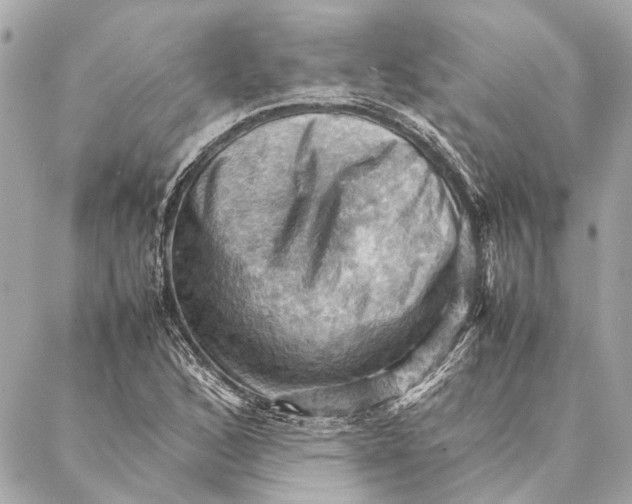 X0000086941168200705071411