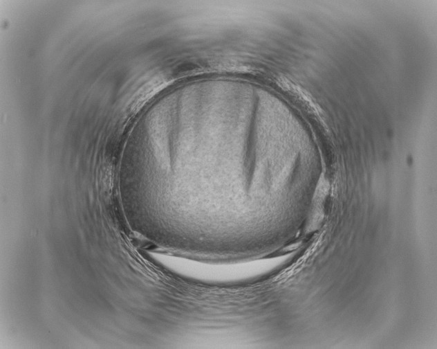 X0000086941169200705071411