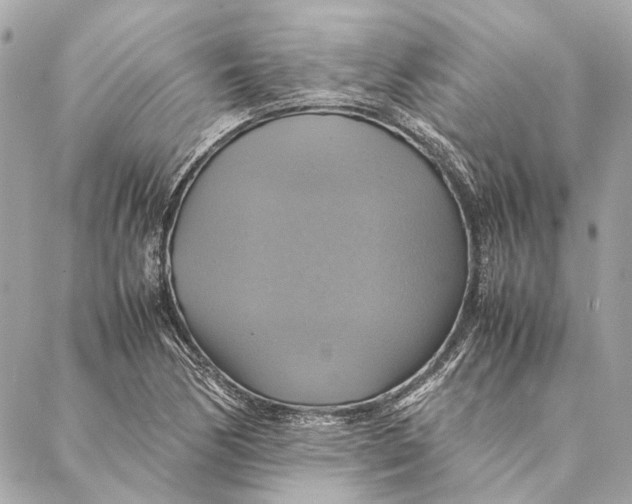 X0000086941170200705071411