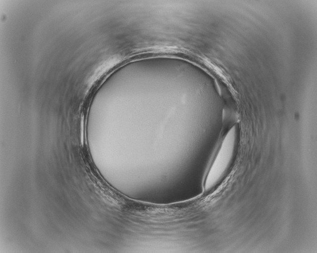 X0000086941171200705071411