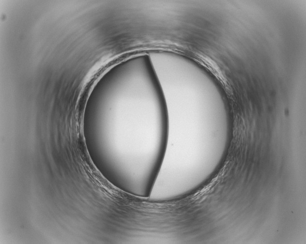 X0000086941172200705071411