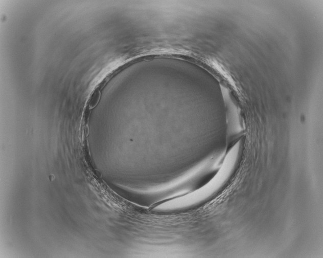 X0000086941173200705071411