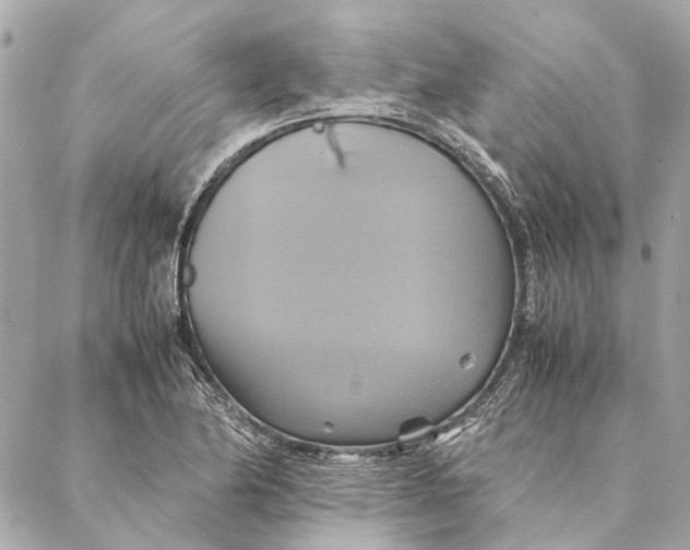 X0000086941174200705071410