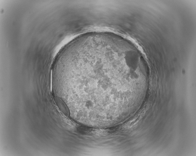 X0000086941175200705071410