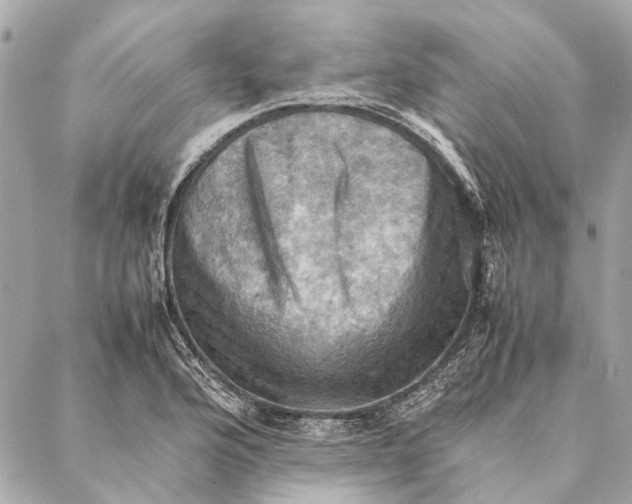 X0000086941176200705071410