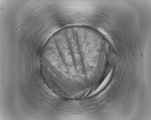 X0000086941177200705071410