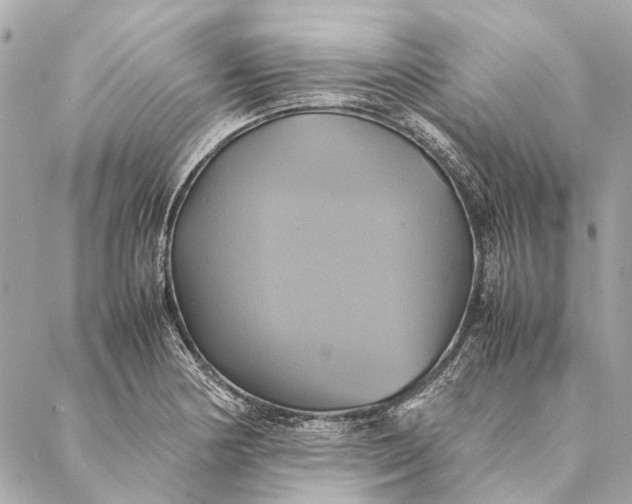 X0000086941178200705071410