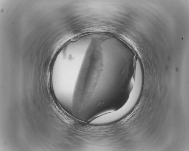 X0000086941179200705071410