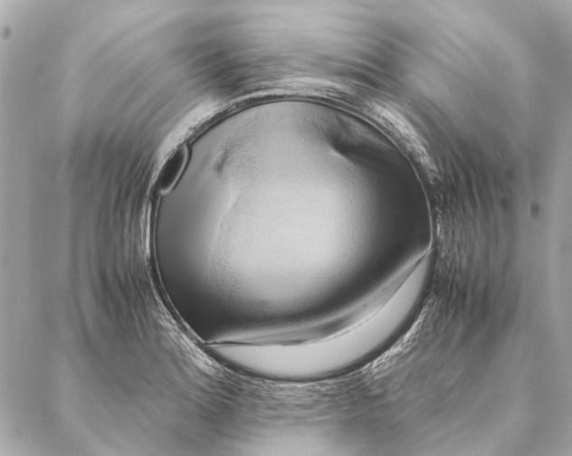 X0000086941180200705071410