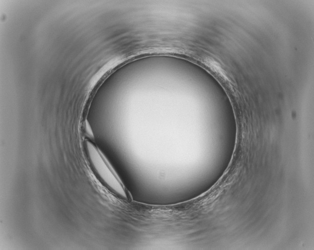 X0000086941181200705071410