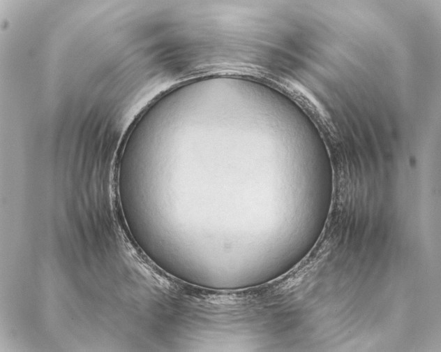 X0000086941182200705071410